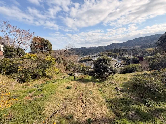 南熱海　下多賀　農地　現況　果樹（みかん）畑
